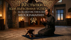 10_stapki