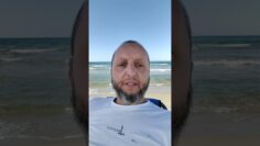 ушев